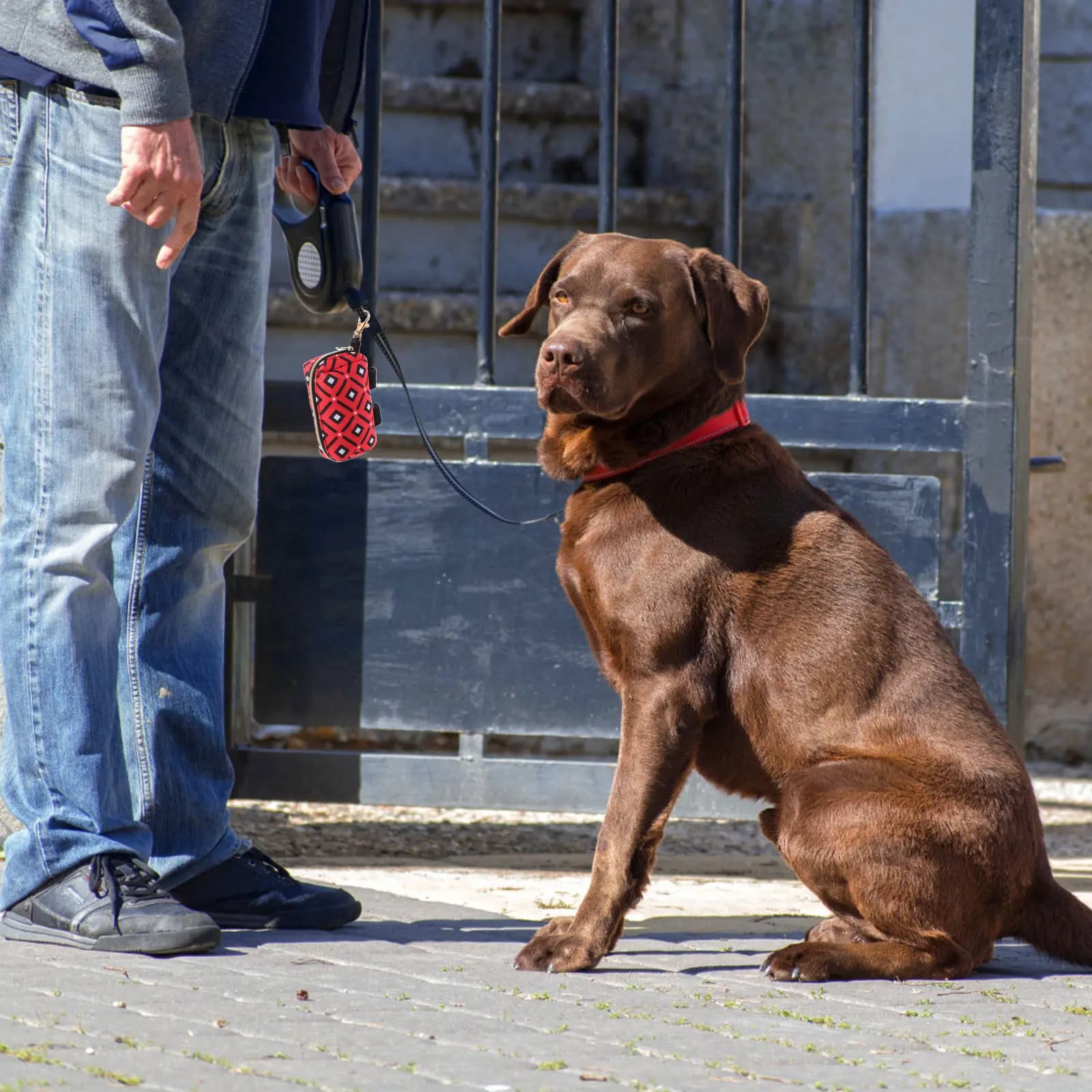 Porta Sacchetti per Escrementi di Cane Portatile, Multiuso, Resistente all'Usura, con Fibbia Facile da Attaccare a Guinzaglio o Pettorina, per Uso Esterno