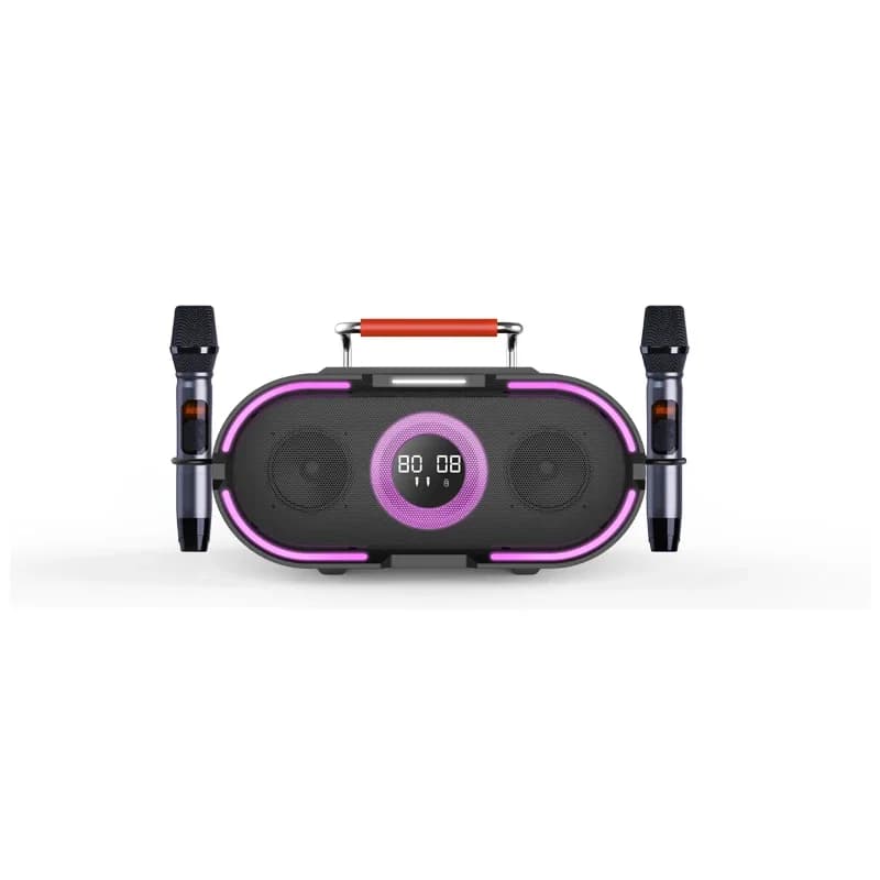 RHM RM-K666 Plus Altoparlante karaoke professionale all-in-one Vendita calda con luce stroboscopica sfumata e microfoni per macchine da festa