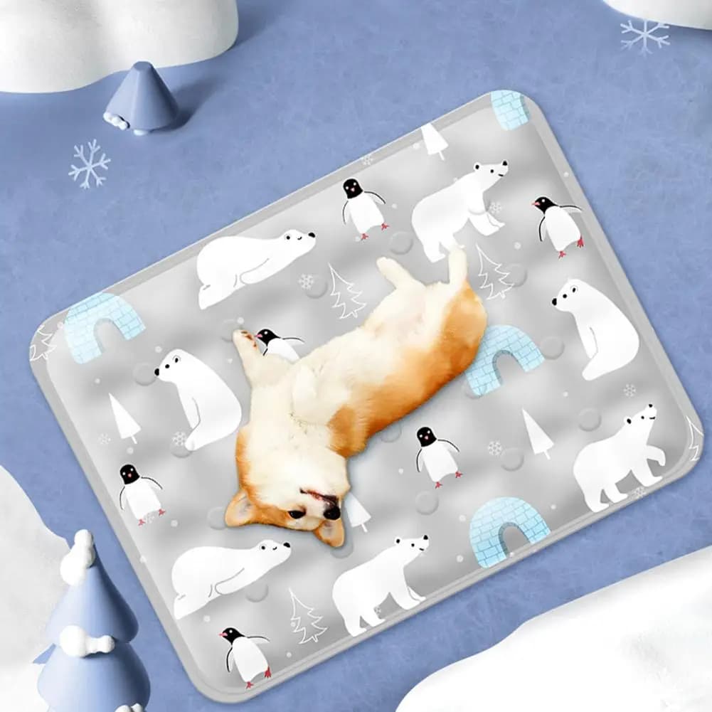Tappetino Refrigerante Estivo per Animali Domestici con Riempimento d'Acqua, Design Orso Grigio, per Alleviare il Calore, Resistente per Cani e Gatti Accessori