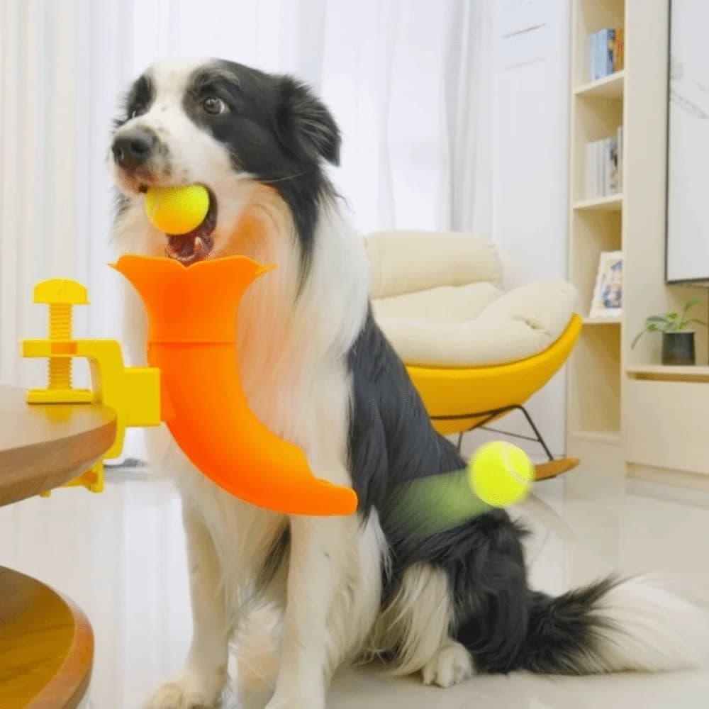 Lanciatore di Palline per Cani a Lunga Distanza, Lancio Automatico, Lancia Palline da Tennis Staccabile, Intelligente e Resistente, Interattivo per Animali Domestici