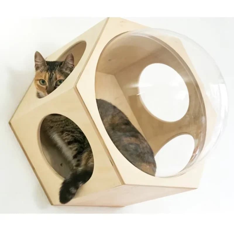 Case per gabbie per animali domestici Prodotto Case per gatti per finestra del letto per gatti con albero per gatti da parete esterno