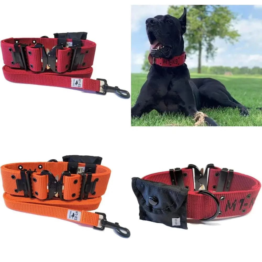 Collare tattico per cani con guinzaglio resistente da 6 piedi, fibbia Cobra in metallo e custodia multiuso per allenamento K9 di livello militare e all'aperto