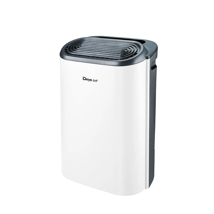 DYD-Z12A Deumidificatore a Compressore 12L 220V, Purificatore d'Aria Portatile per Casa