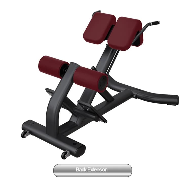Commercial Equipment for Gyms: Professional Roman bench in Carico Variable for Extensions Back and Exercises with Free Weights