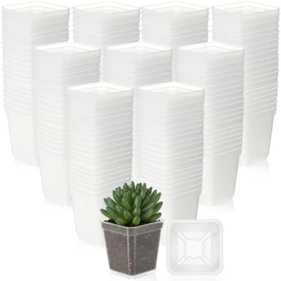 Confezione da 200 Vasi Quadrati da 3 Pollici per Piante, Vasi in Plastica per Piante Succulente, Vasi per Semina con Fori di Drenaggio per Giardinaggio
