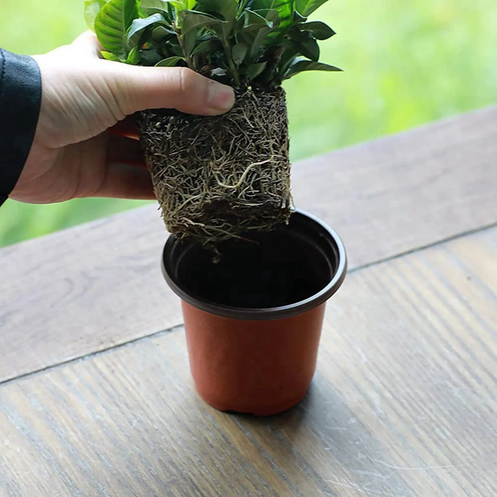 A84X-300 Pieces Plastic Vase 4,72 Powders for Semenzai, Plant Containers, Seed Germination Vases