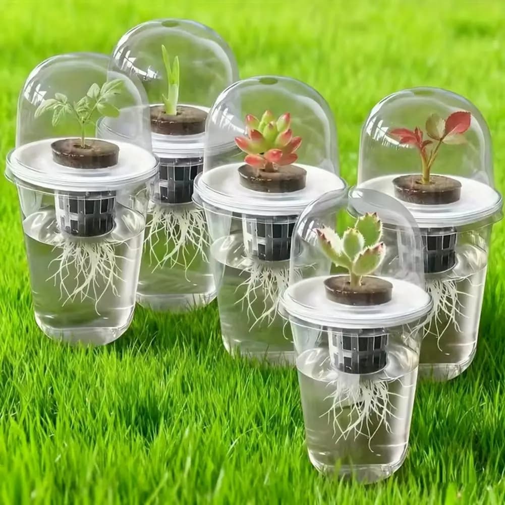 Hydroponic Propagation Kit, Transparent Cup for Germination Semi, Plant Propagation Station, Hydroponic Cultivation Set for Ortaggi