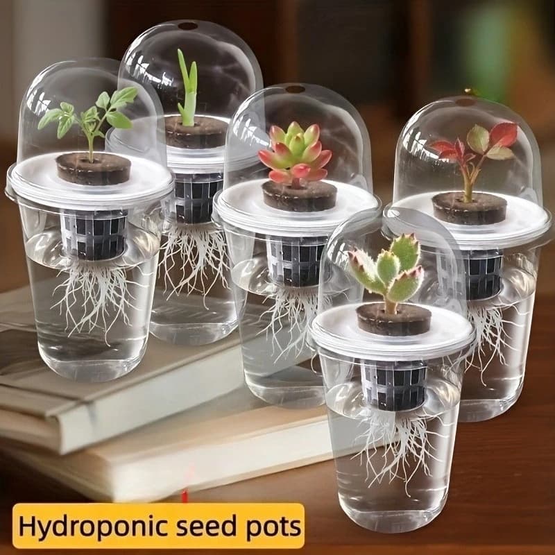 Set of 3 Hydroponic Seeds in Transparent Plastic, Cylindrical Hydroponic Cultivation Kit, Hydroponic Cup High Transparency