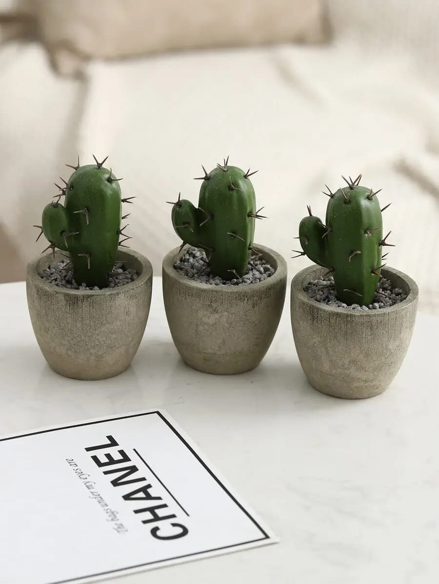 1 Pezzo di Piante Succulente Artificiali in Vaso, Assortimento di Finte Piante Succulente Decorative con Vasi, Cactus Finti con Vasi, San Valentino