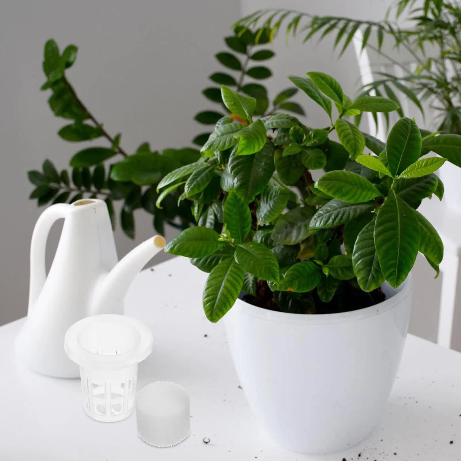 50 Sets Black 25 Hydroponic Baskets Sponge for Garden Balcony Flower Nursery Net Cups Plant Pots Plastic Containers