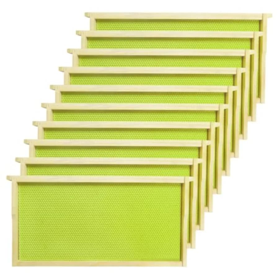 Set of 10 Dowels for Deep Arnia and Fondamenta in Cera, Dowels for Bees in Deep Wood Not Assembled with Fondamenta Covered in Cera d'Api di Grado Alimentare