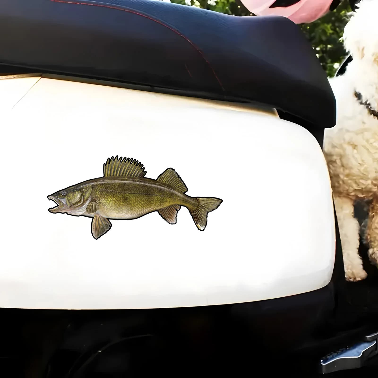 70108# Walleye Car Sticker, Fun Waterproof Sticker for Cars, Trucks, Motorcycles, Walls, Windows, PVC Material