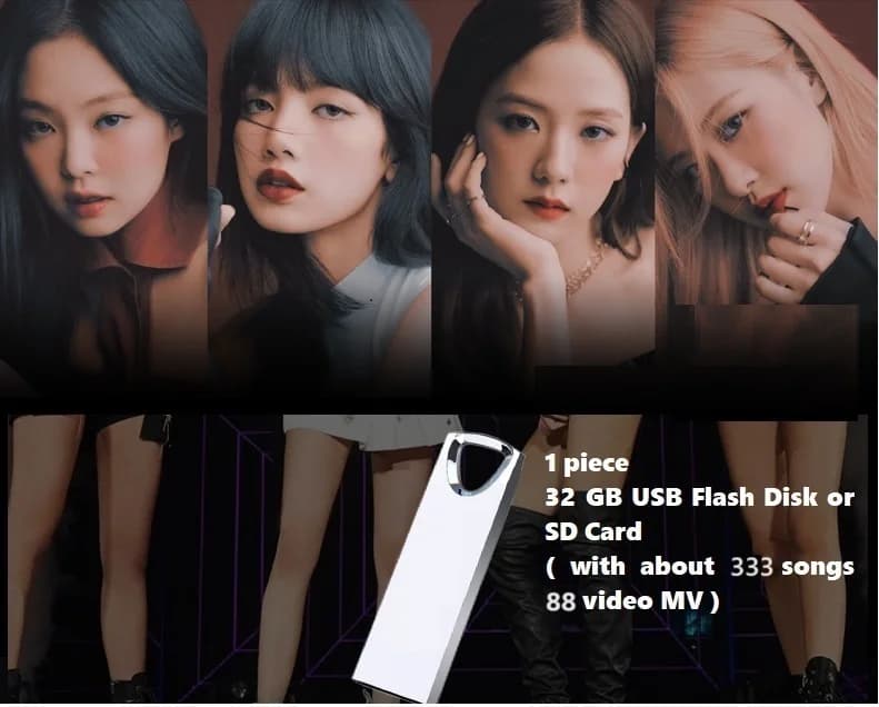 Corea del sud cantante femminile ragazza gruppo 333 Audio 88 Video musica Pop Top HiFi canzone Computer Mobile scheda SD per auto disco Flash USB 32GB