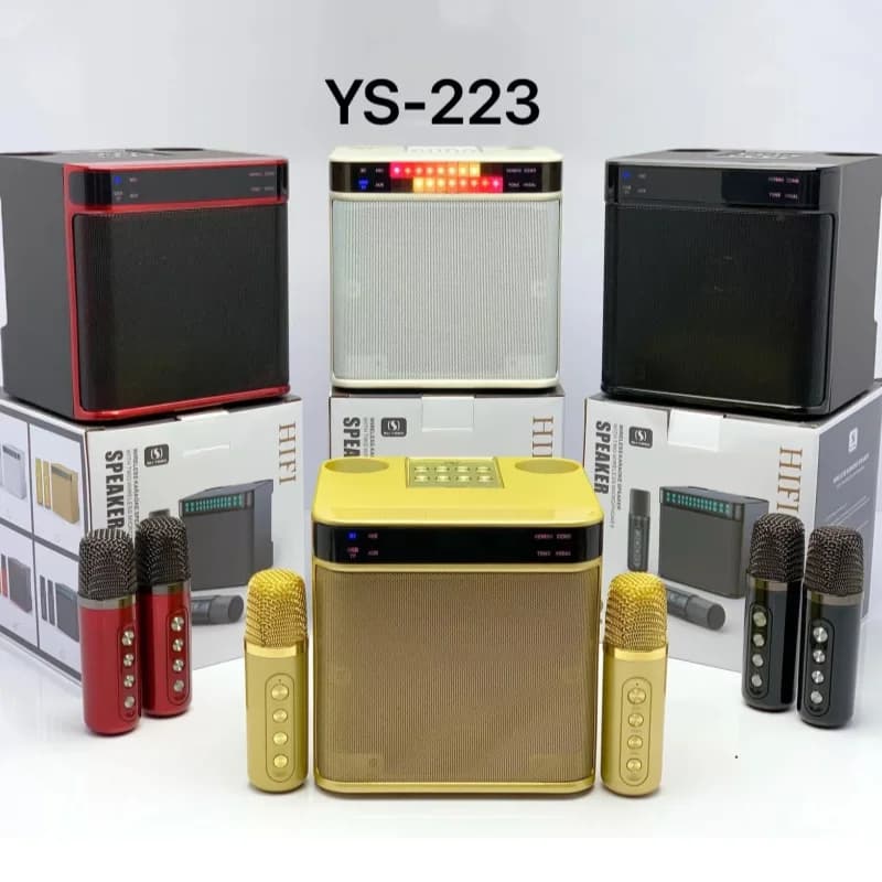 Powerful Bluetooth Speaker With 2 Mics Surround Sound Bass RGB Lights Portable Subwoofer Family Karaoke Machine Birthday Gifts