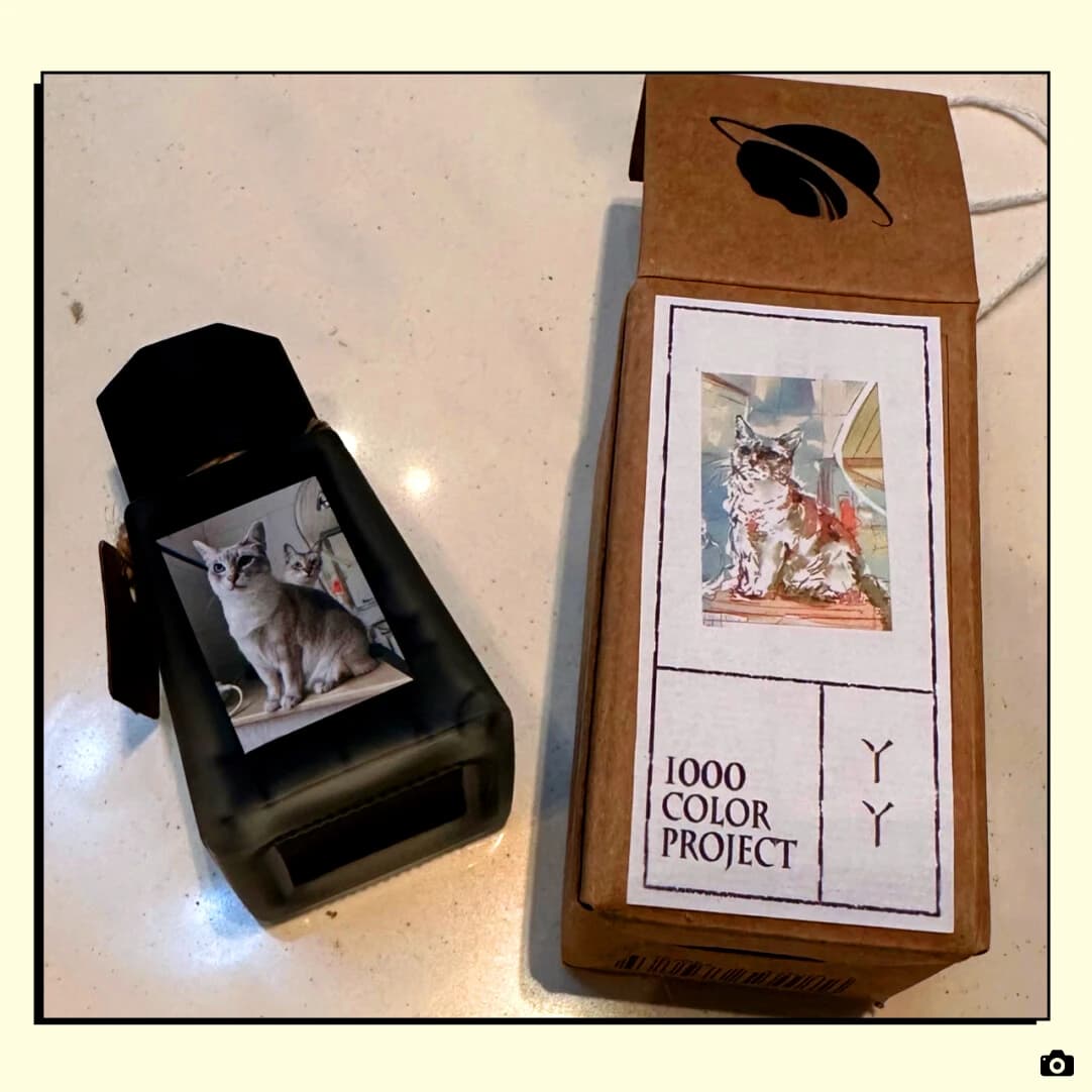 Zoo Ink, YAYA, Color Dye Fountain Pen Ink, Chromatographic Ink, 30ml