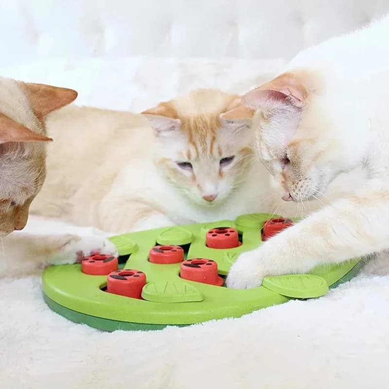 Ciotola per cibo lento per animali domestici Puzzle per il giorno di pioggia Trattare interattivi per gatti Giocattoli per gatti Perdite Tiragraffi per gatti