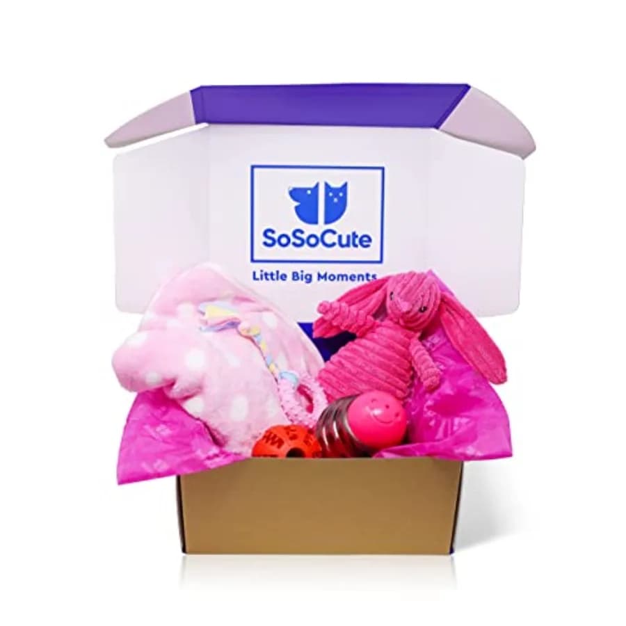 Cofanetto Regalo Cane Rosa - Set di 5 Giocattoli da Masticare per Cuccioli - Pacchetto Cura con Coperta per Cane, Giocattolo Sonoro in Peluche, Giocattolo da Masticare in Gomma per Cuccioli, Palla da Dentizione