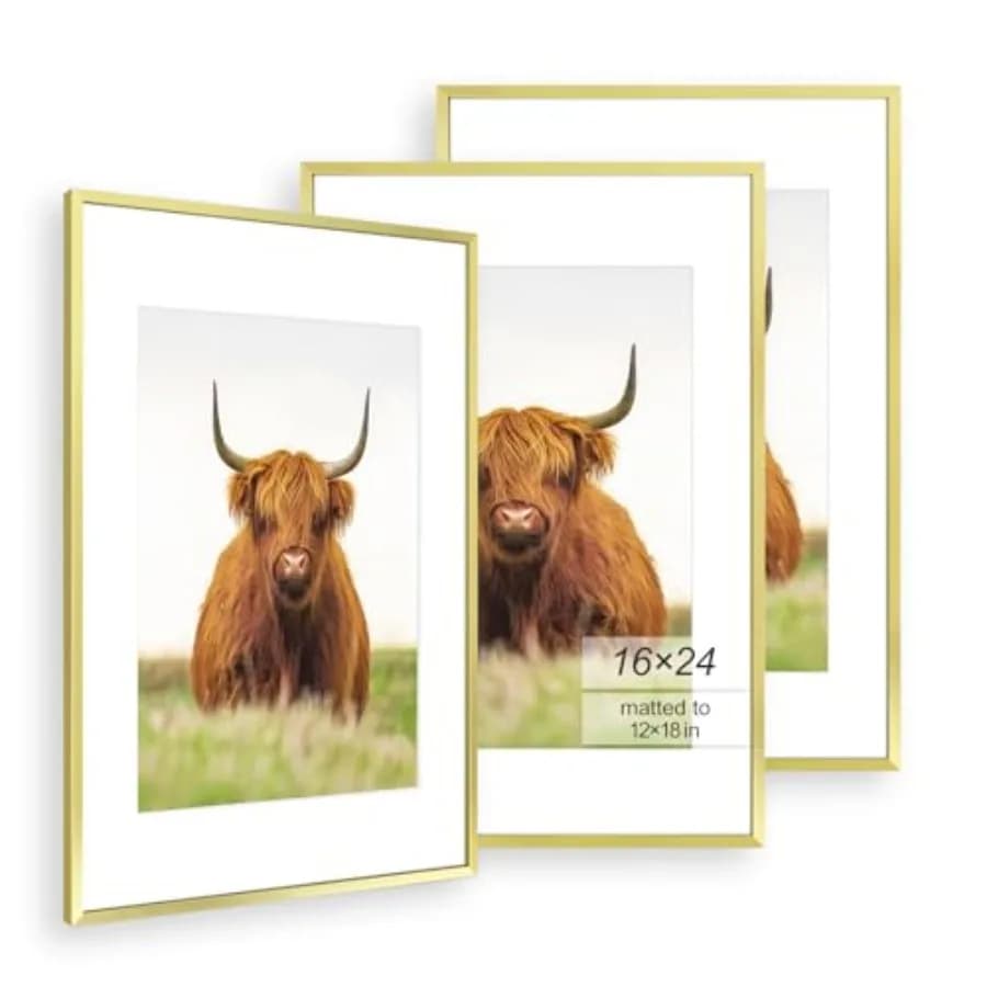 Picture Frame Set of 3, Thin Border, Display Photo 12x18 with Mat or Without Mat, Poster Frame for Wall Hanging Horizontal and