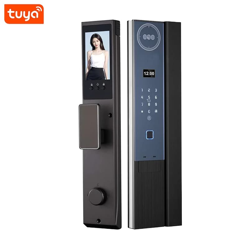 Tuya Smart Lock 3D Face Recognition WiFi Remote Control Keyless Unlocking Cloud Storage Aluminum Alloy C Smart Lock