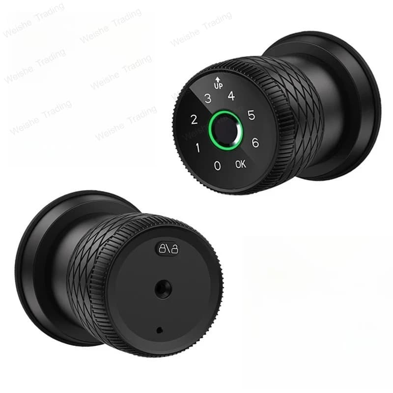 Serratura Intelligente con Impronta Digitale per Porta d'Ingresso, Maniglia Elettronica Multifunzione con Bluetooth e Tastierino di Sicurezza