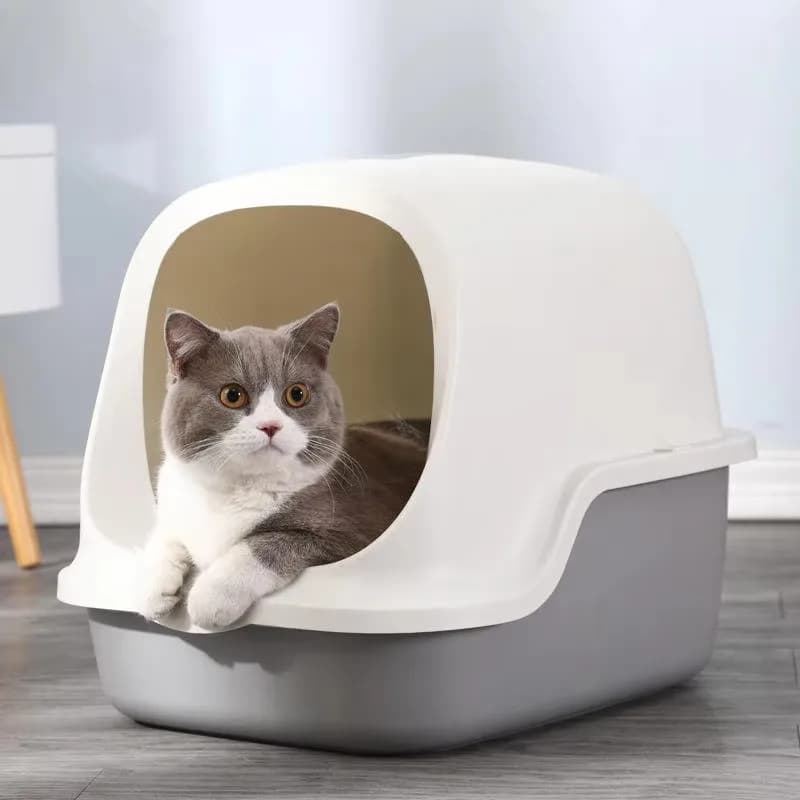 Lettiera per Gatti Completamente Chiusa e di Grandi Dimensioni con Controllo degli Odori in Materiale PP Design Intelligente