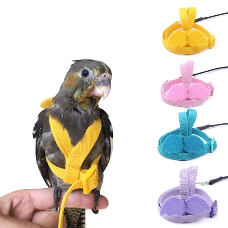 Flying Harness leash Suit Pet Bird Outdoor Flight Training Rope Cockatiel provides ara accessories for Budgie stuff
