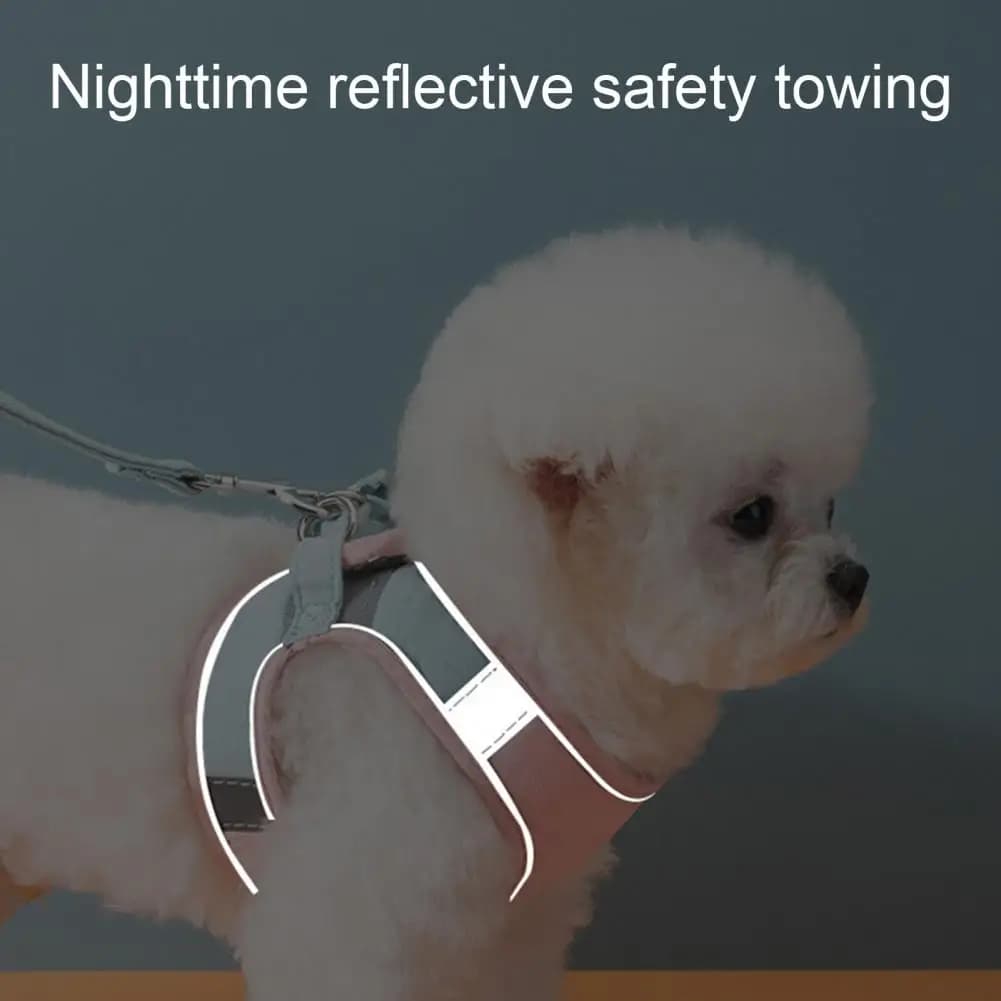Pettorina per cani piccola e combinata, anti-trazione, in nylon riflettente, regolabile, comoda, per controllo, passeggiate e corsa, accessori