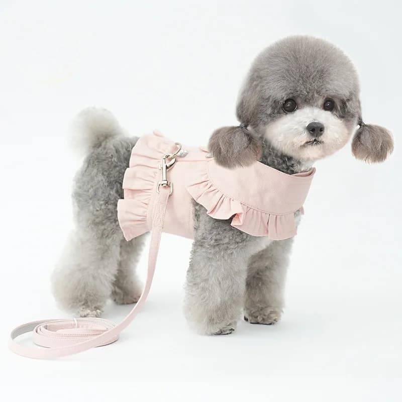 Gonna per collare per cani, graziosa pettorina per animali domestici con cinghia pettorale, gilet per cuccioli, vestito per cani, gonna con perle per Pomeranian, Yorkshire, Teddy