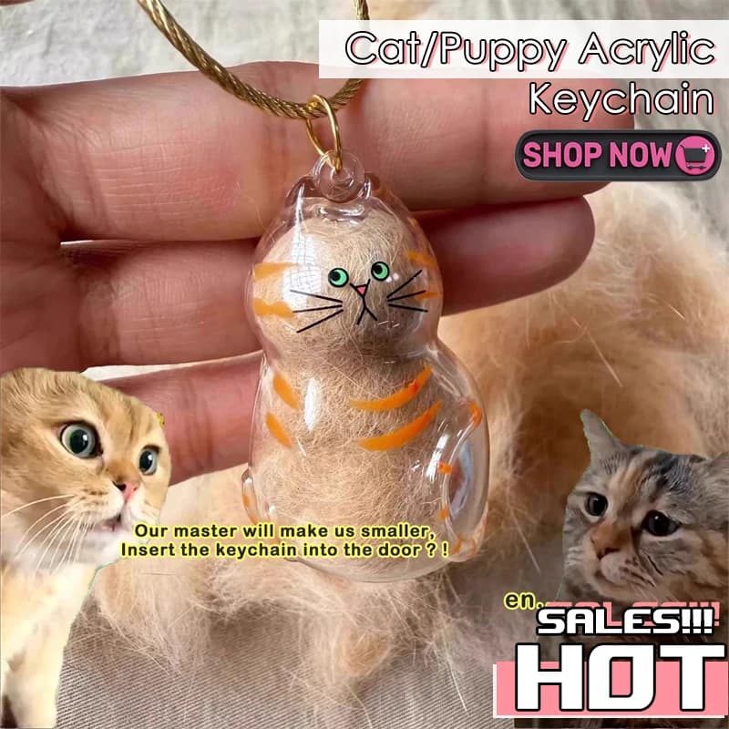 Clear Cat Hair Storage Keychain Acrylic Pendant Hanging Backpack Pendant Gifts Women Students Key Chain