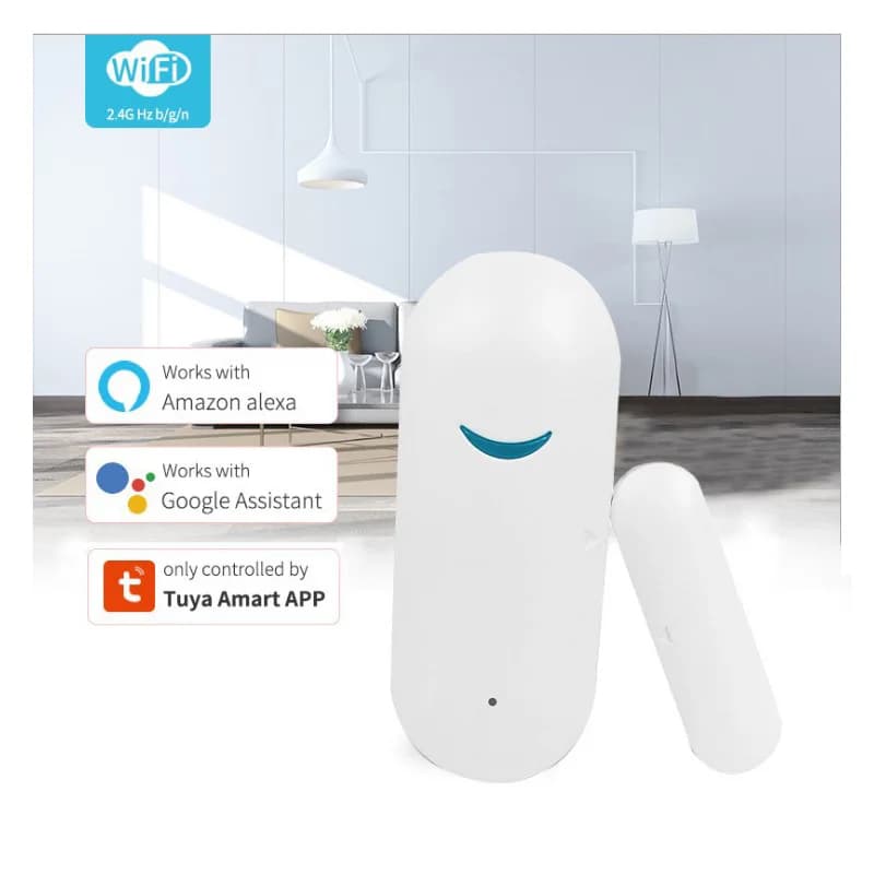 Allarme di rilevamento antifurto remoto Wi-Fi Rilevatore magnetico per porte intelligenti Finestra Garage Sensore wireless Interruttore di collegamento APP Tuya