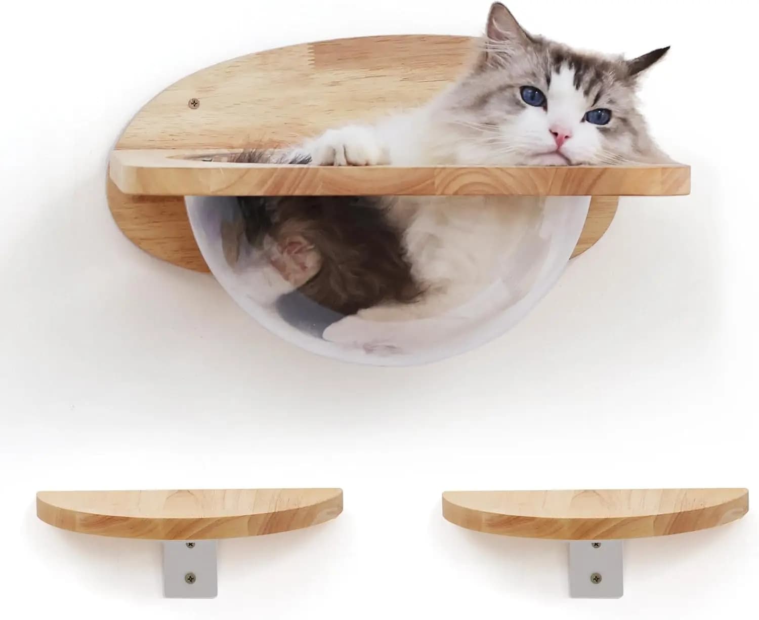 Set di Mobili da Parete per Gatti, Mensole Trasparenti a Capsula con 2 Pedali - Letto Premium per Gattini per Dormire e Giocare