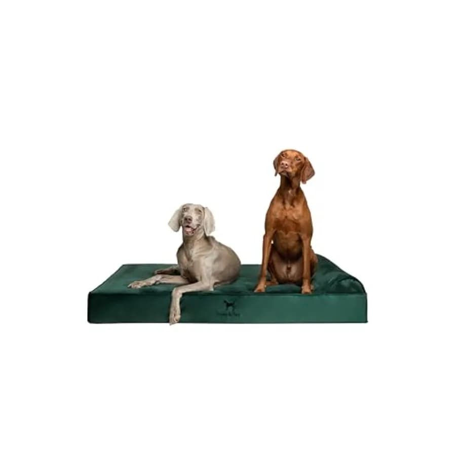 Cuccia Gigante per Cani XXL 55x45x9.5 Pollici, Ortopedica in Memory Foam a Guscio d'Uovo con Gel Rinfrescante, Impermeabile e Lavabile in Lavatrice