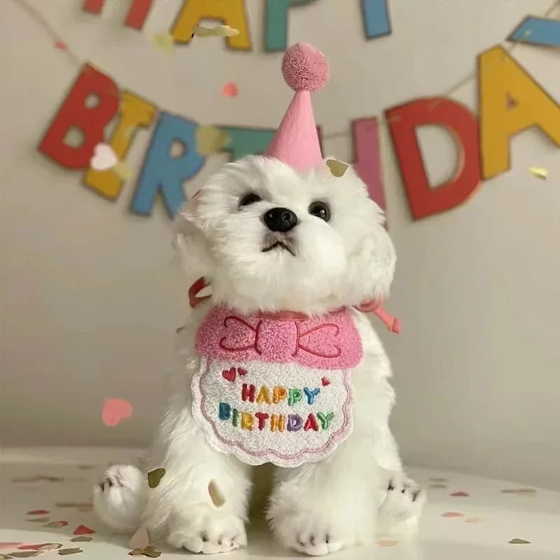 Set di Cappello e Sciarpa per Compleanno di Cuccioli e Gattini, Accessori per Animali Domestici