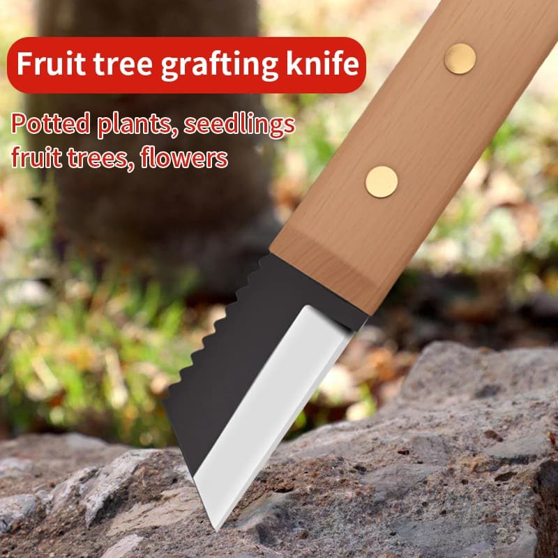 Foldable graft knife, tools for grafting, professional pruning knife for fruit tree grafting, knife with wooden handle