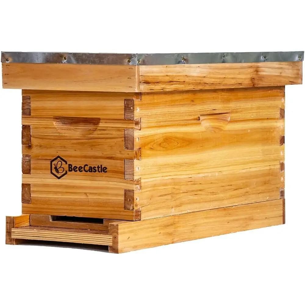 Scatola da 5 Nuc Box rivestita in cera al 100% include arnie e fondamenta cerate
