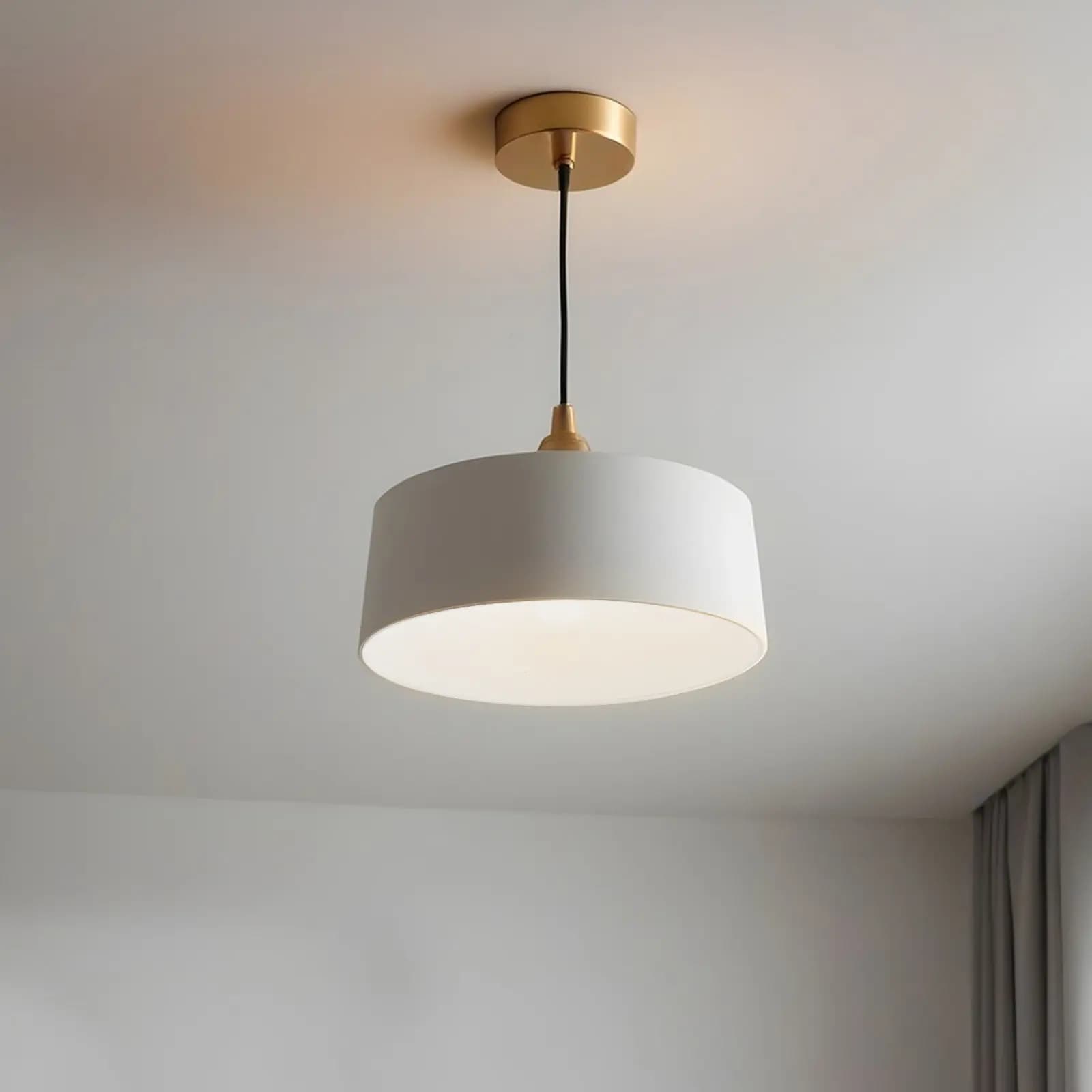 2Pcs Acrylic Round Lampshade Diffuser Drum Style Diameter 24.5cm 1Mm Thick Lamp Shade for Pendant LED Bulb Light Diffuser Sheet