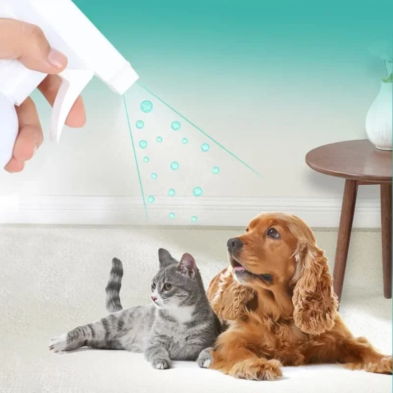 Deodorante per interni per cani e gatti Spray per urina di gatto Deodorante per enzimi biologici per animali domestici