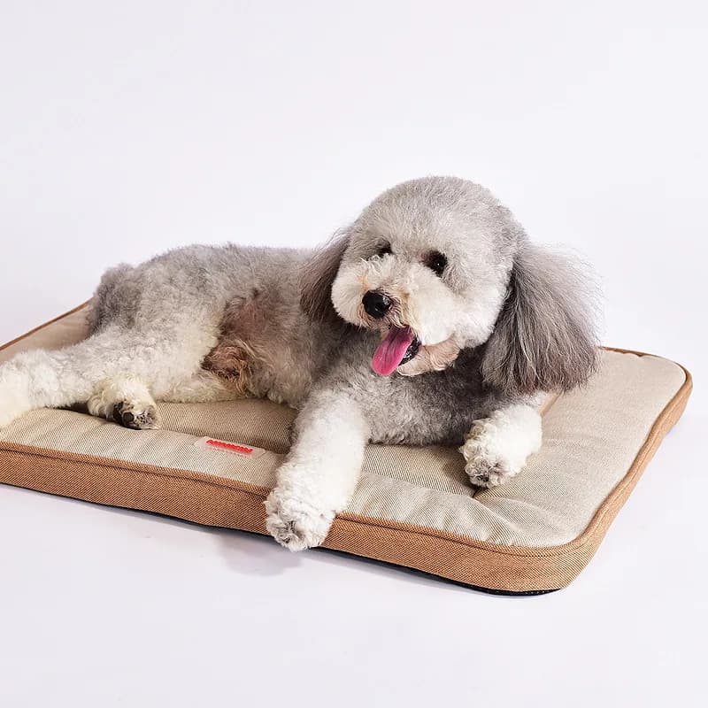 Materasso per animali domestici in cotone traspirante per cani di grandi dimensioni per tutte le stagioni Forniture universali per animali Comodo cuscino per letto per cani e gatti Durevole Nuovo