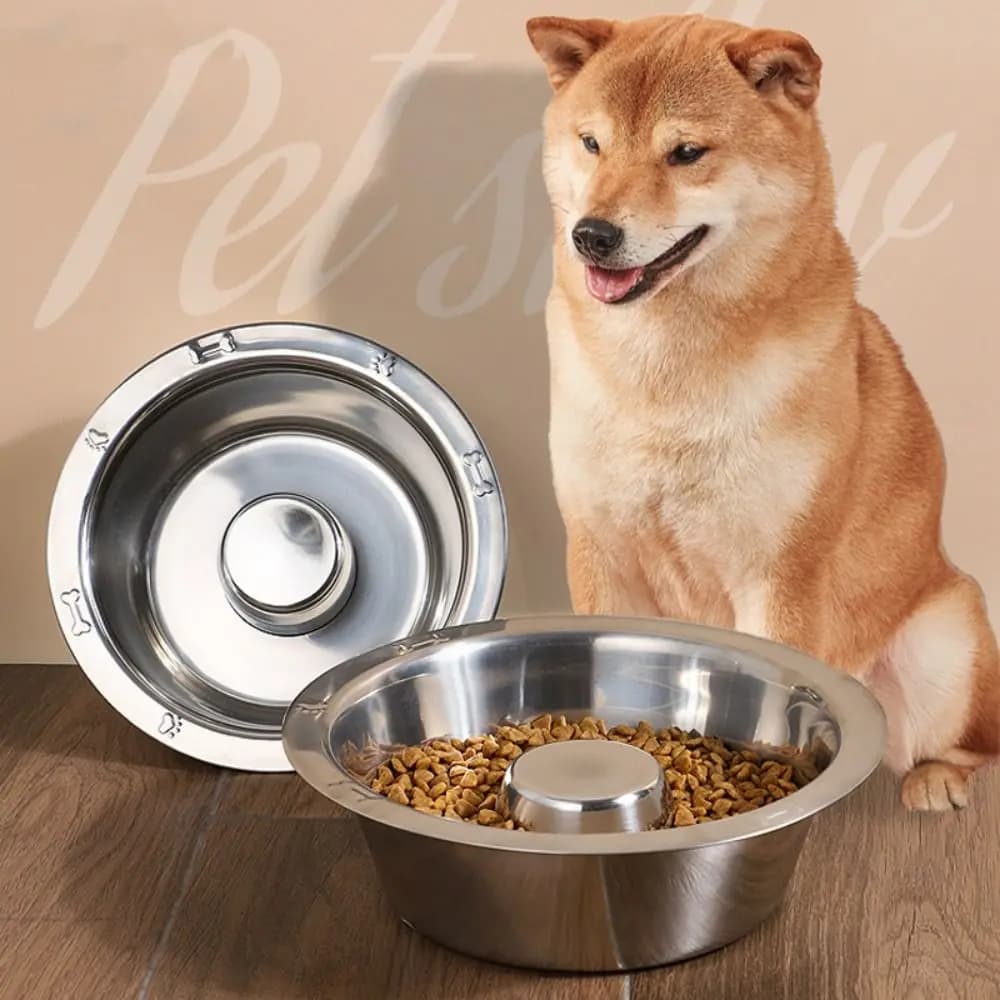 Ciotola Antiscivolo in Acciaio Inox per Alimentazione Lenta di Cani e Gatti, Facile da Pulire, Resistente e Anti-Soffocamento
