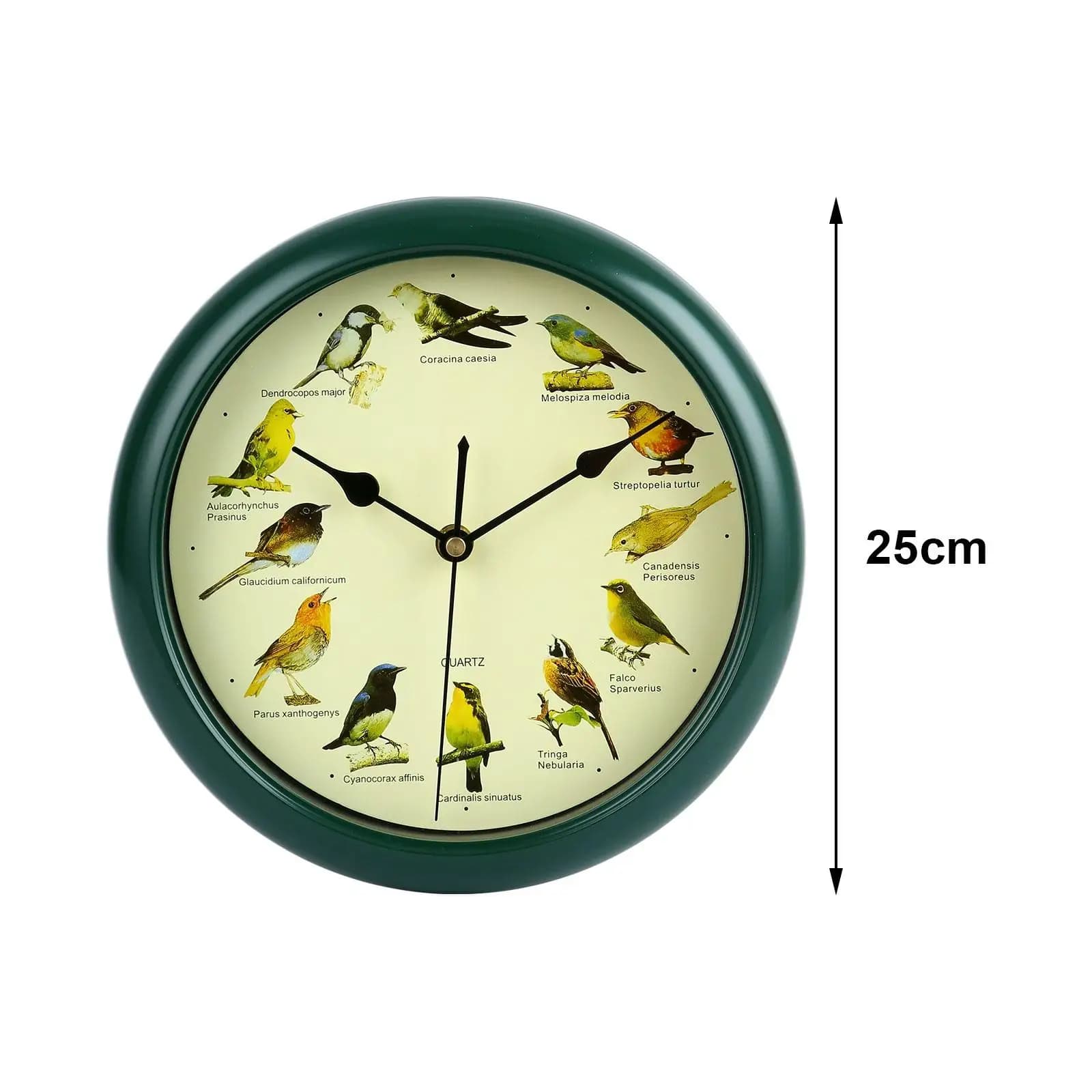 Wall clock with 25 cm musical birds, battery sound watch, domestic interior, green bedroom frame, house opening gift