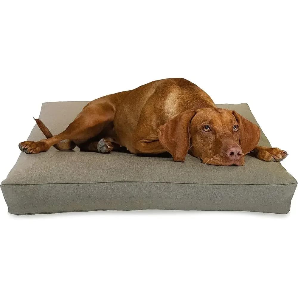 Cuccia Compatta per Cani in Canapa Biologica - 18 x 12 x 4 - Lattice Naturale Premium, Rivestimento Rimovibile