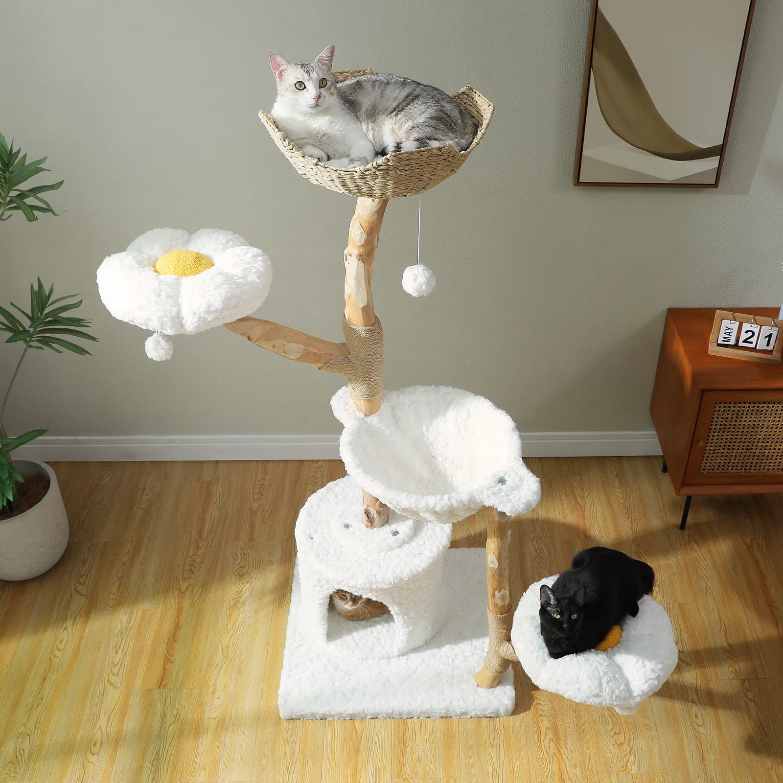 Albero per Gatti Moderno da 150 cm con Ampia Cuccia, Amaca Rotonda Accogliente, 2 Posizioni per il Riposo, Doppio Comfort, Perfetto per Gatti da Interno