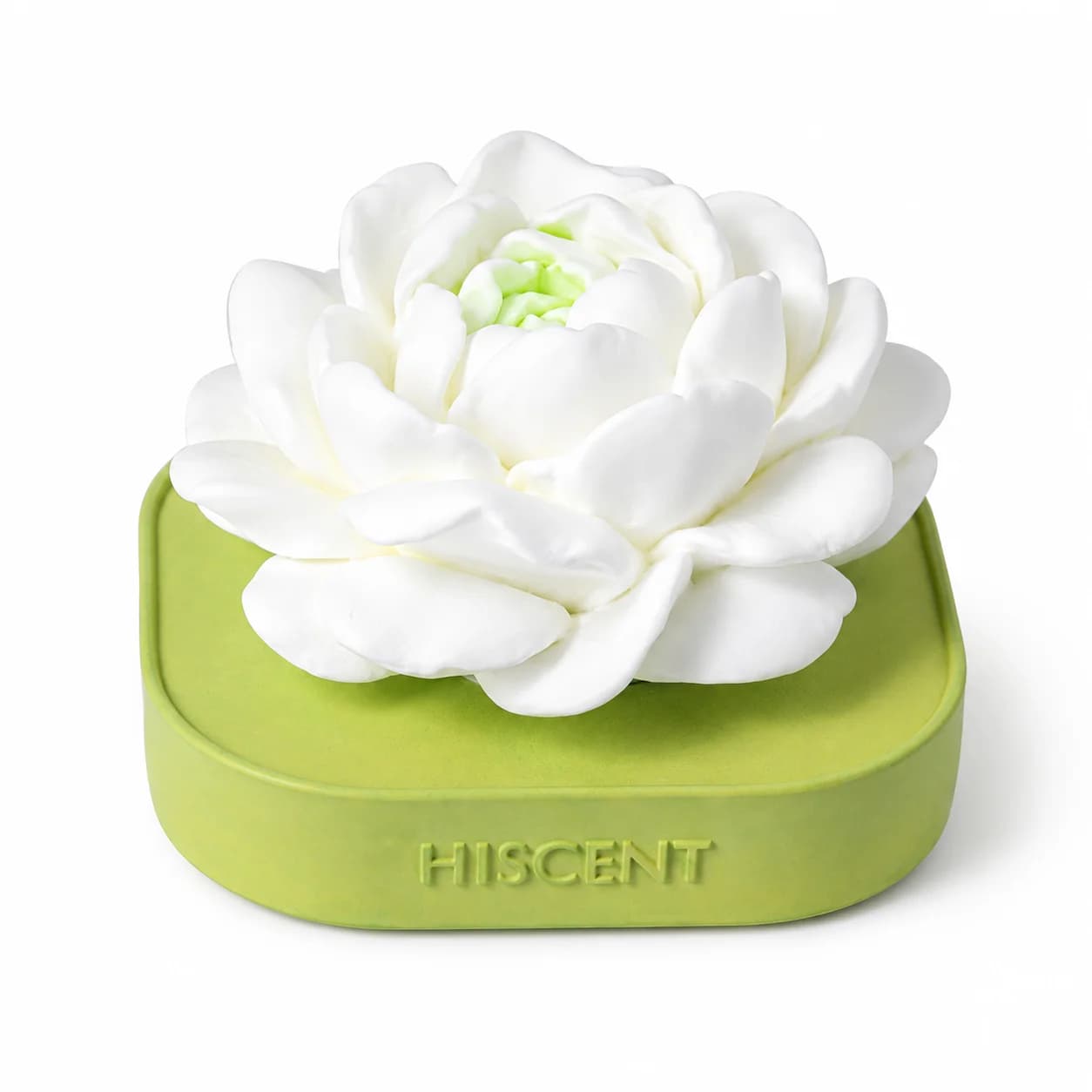Plaster Aroma Stone Essential Oil Diffuser with Embossed Jasmine Design Fragrance Ornament for Home Bedroom Office Decor