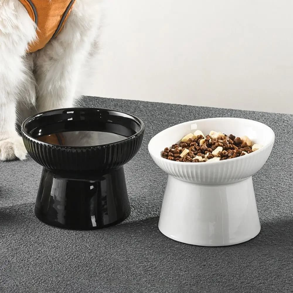 Ciotola per gatti in ceramica Bocca inclinata/piatta Ciotola per piedi alti per animali domestici creativa Contenitore per acqua per bacino per alimenti per cani antiscivolo multiuso