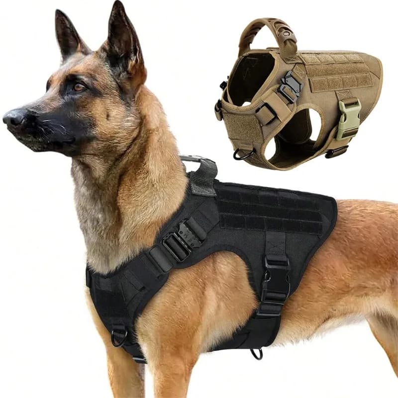 Pettorina per cani di grandi dimensioni Pettorina da addestramento per pastore tedesco Pettorine per cani medie tattiche da caccia per accessori per cani