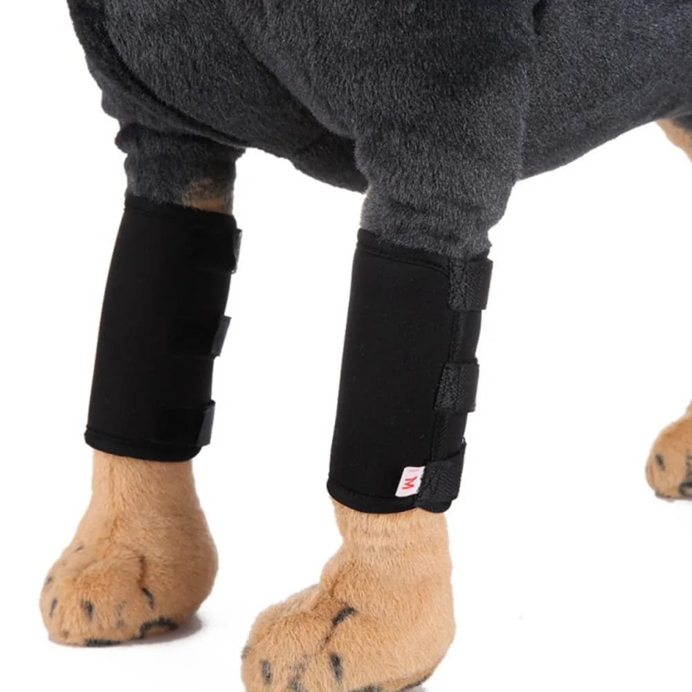 Accessori per Cani: Protezione Anteriore per Zampe in Materiale Subacqueo Antiurto, Imbottitura per Gomito del Cucciolo, Copertura Protettiva per Zampe, Ginocchiere per Animali Domestici