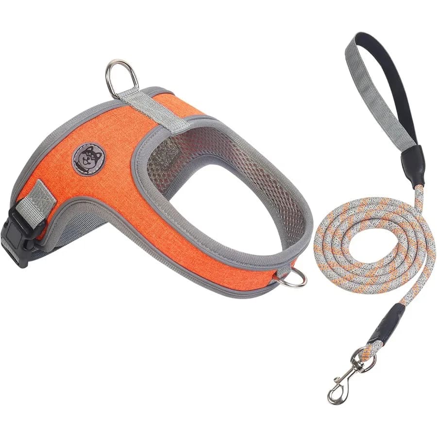 Set di pettorina e guinzaglio per cani, senza tirare, stile sella, pettorina per animali domestici, rete traspirante, gilet riflettente regolabile per cani e gatti Medi