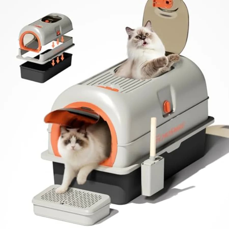 Lettiera per gatti in acciaio inossidabile con coperchio, lettiera chiusa di grandi dimensioni con ingresso dall'alto per gatti e gattini, lettiera in metallo antiaderente.