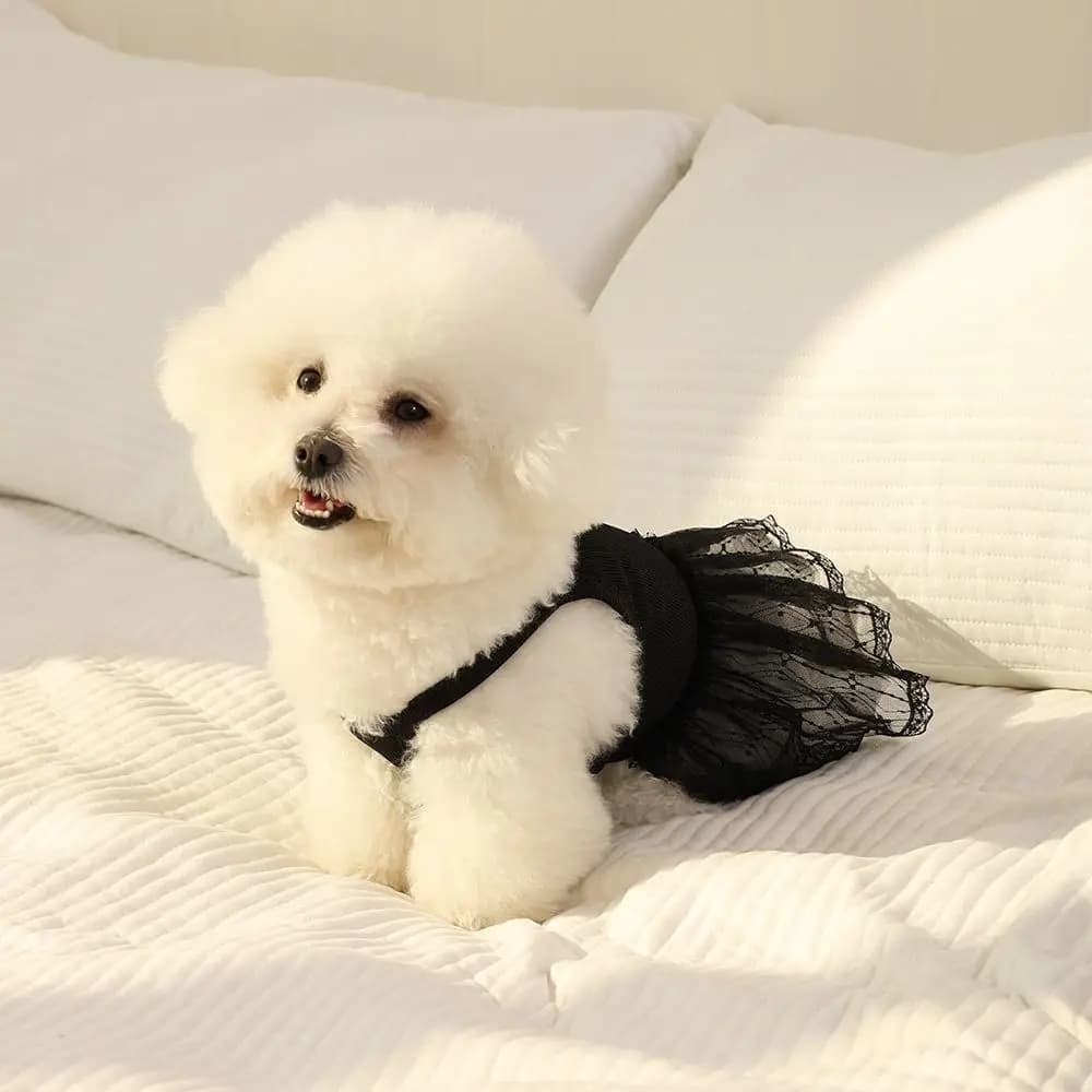 Comfortable Lace Pet Princess Dresses Soft Breathable Dog Vest Fashion Thin Design Cat Suspender Skirt for Kittens Puppy