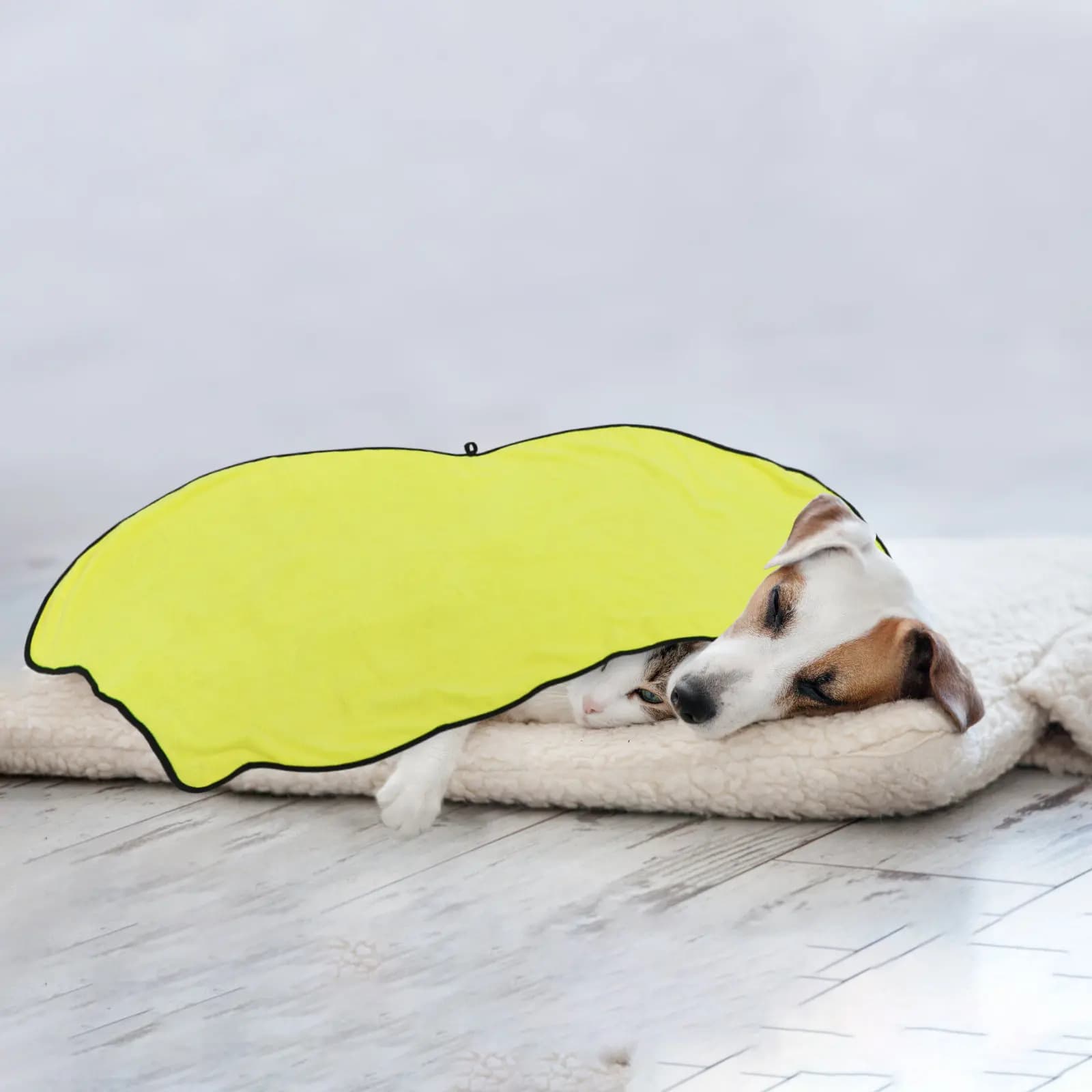 Asciugamano per Cani Ispessito, Grande e Assorbente, Asciugatura Rapida, Accappatoio Morbido e Confortevole per Cuccioli e Gatti, Accessori per Animali Domestici